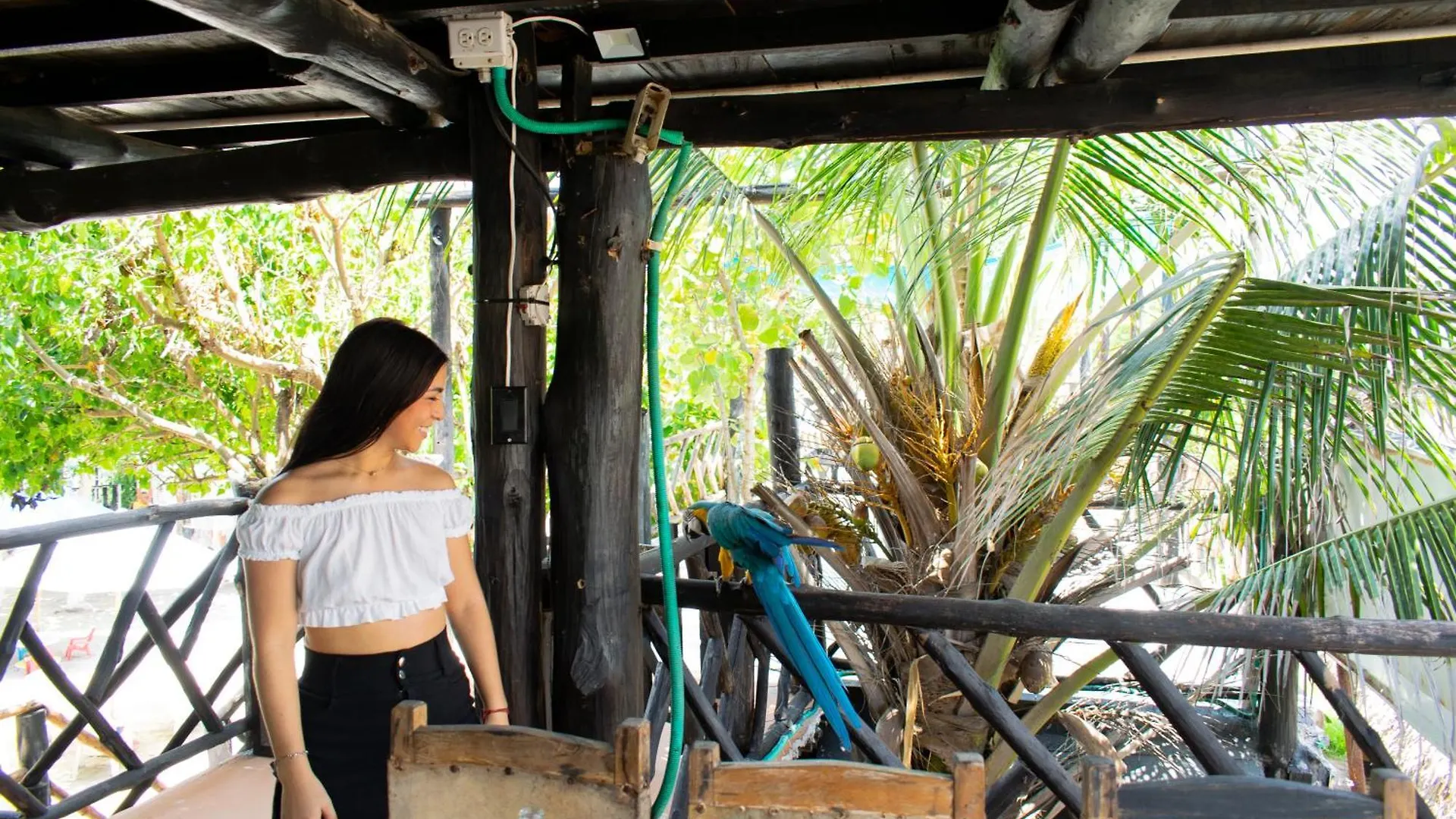 Sabaleo Beach House Cartagena Guest house